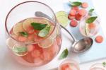 American Vodka And Watermelon Punch Recipe Dinner