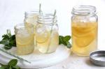 American Whisky And Homemade Lemonade Recipe Appetizer