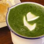 Turkish Cream of Spinach Soup Recipe Appetizer