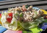 American Dees Tuna Salad Appetizer