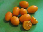 Australian Kumquat Fizz Appetizer