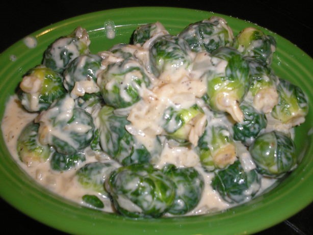American Brussels Sprouts With Onion Alfredo Sauce Appetizer