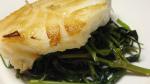 Chilean Miso and Soy Chilean Sea Bass Recipe Appetizer