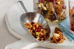Apple And Cranberry Toasted Muesli Clusters Recipe recipe