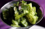 Mexican Green Ceviche With Cucumber Recipe Appetizer
