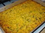 American Lowfat Broccoli Rice And Cheese Casserole Appetizer
