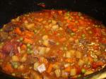 American Savory Beef Stew crock Pot Appetizer