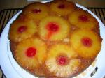 Dutch Pineapple Upsidedown Cake 20 Other