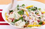 American Chicken Noodle Salad With Ginger Dressing Recipe Appetizer