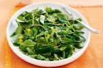 American Mixed Green Salad With Mustard Dressing Recipe Dinner