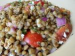 Israeli/Jewish Lentil Salad  Traditional Variations Appetizer