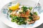 American Salmon With Broad Beans and Parsley Oil Recipe Appetizer