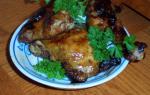 American Southern Barbecued Chicken grill Broiler or Oven Dinner