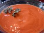 American Raw Tomato Cilantro Soup Appetizer