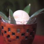 Coconut Ice Cream Blown recipe