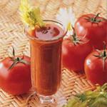 American Spicy Tomato Cooler Other