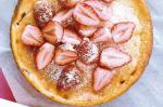 American Ricotta Berry Cheesecake Recipe Dessert