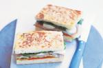 American Grilled Focaccia Sandwiches Recipe Appetizer
