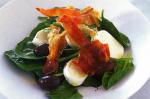 American Spinach Olive and Bocconcini Salad Recipe Appetizer