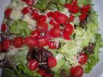 American Red Lettuce Salad Dinner