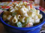 American Easy Elbow Macaroni Salad Dinner