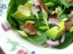 American Beanshoot Avocado  Baby Spinach Salad Dinner