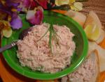 American Tuna Parmesan Spread Breakfast