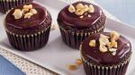 Canadian Chocolate Hazelnut Cupcakes Dessert