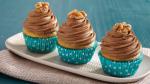 Canadian Mocha Walnut Cupcakes Dessert