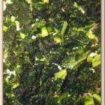 Chips of Cabbage Lettuce kale recipe