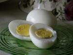 American Boiled Eggs 1 Appetizer