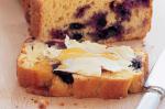 American Blueberry Corn Bread Recipe 3 Dessert
