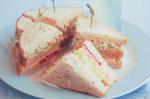 American Double Decker Sandwich Recipe Appetizer