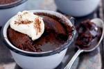 American Chocolate Hazelnut Selfsaucing Puddings Recipe Dessert