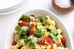 American Texmex Pasta Salad Recipe Appetizer