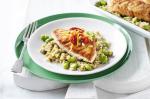 American Fish With Broad Bean Quinoa Recipe Appetizer