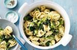 American Tortellini With Broad Beans Asparagus and Ricotta Recipe Dinner