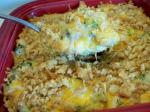 American Broccoli  Cream Cheese Casserole Dinner