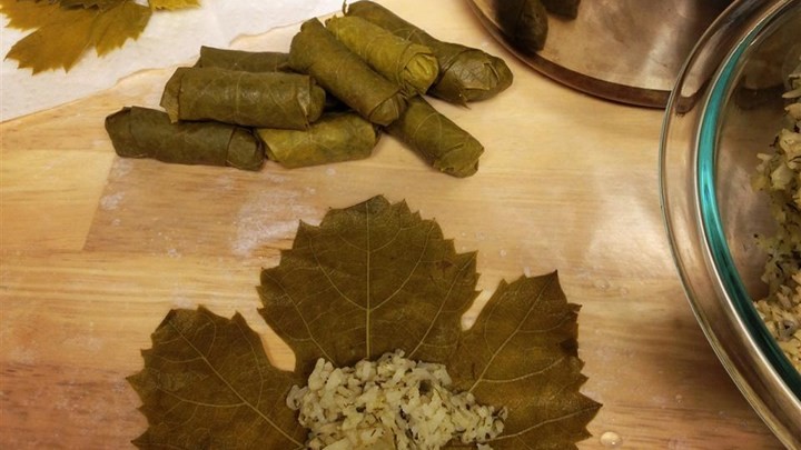 American My Own Famous Stuffed Grape Leaves Recipe Appetizer