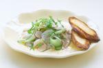 Canadian Scallop And Kingfish Ceviche Recipe Appetizer