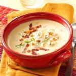 American Slowcooked Savory Cheese Soup Appetizer