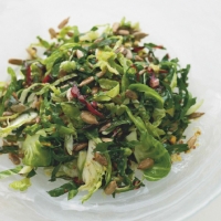 American Shredded Brussels Sprouts Salad Appetizer