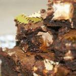 American Brownies with Diced Bonobon Registered Dessert