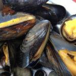 American Mussels in Cider Dinner