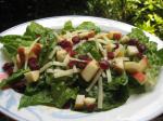 American Winter Fruit Salad With Lemon Poppy Seed Dressing Dinner