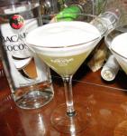 Canadian Worlds Easiest Pina Colada Rum Martini Drink