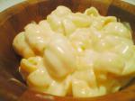 American Creamy Macaroni and Cheese 11 Dinner