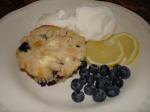 American Blueberry Cheese Buckle walt Disney World Dessert
