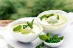 American Chilled Pea Soup With Mint Gelato Recipe Soup