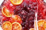 American Spiced Wine Punch Recipe Drink
